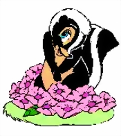 flower.jpg