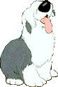 max01.gif